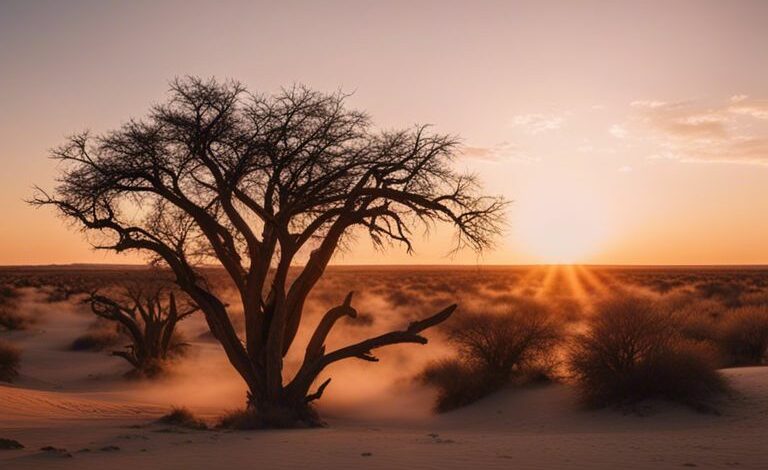 Die beste Reisezeit für Urlaub in Namibia