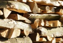 Holzpreise fallen 2023 bodenlos