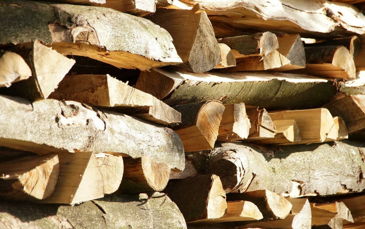 Holzpreise fallen 2023 bodenlos?